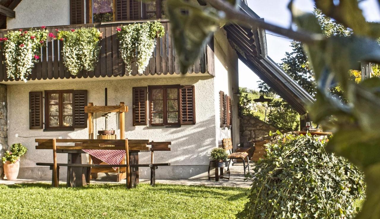 Vineyard Cottage Podrzaj Otocec Exterior photo